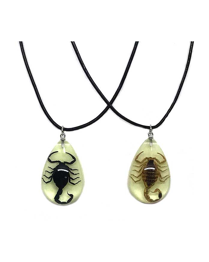 Scorpion Necklace - Glow in the Dark