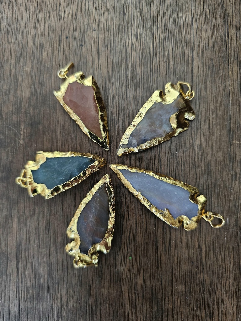 Gold Edged Arrowhead