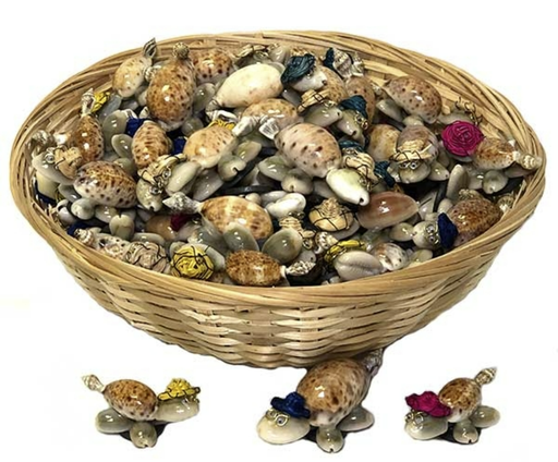 Turtle made of shells with magnet